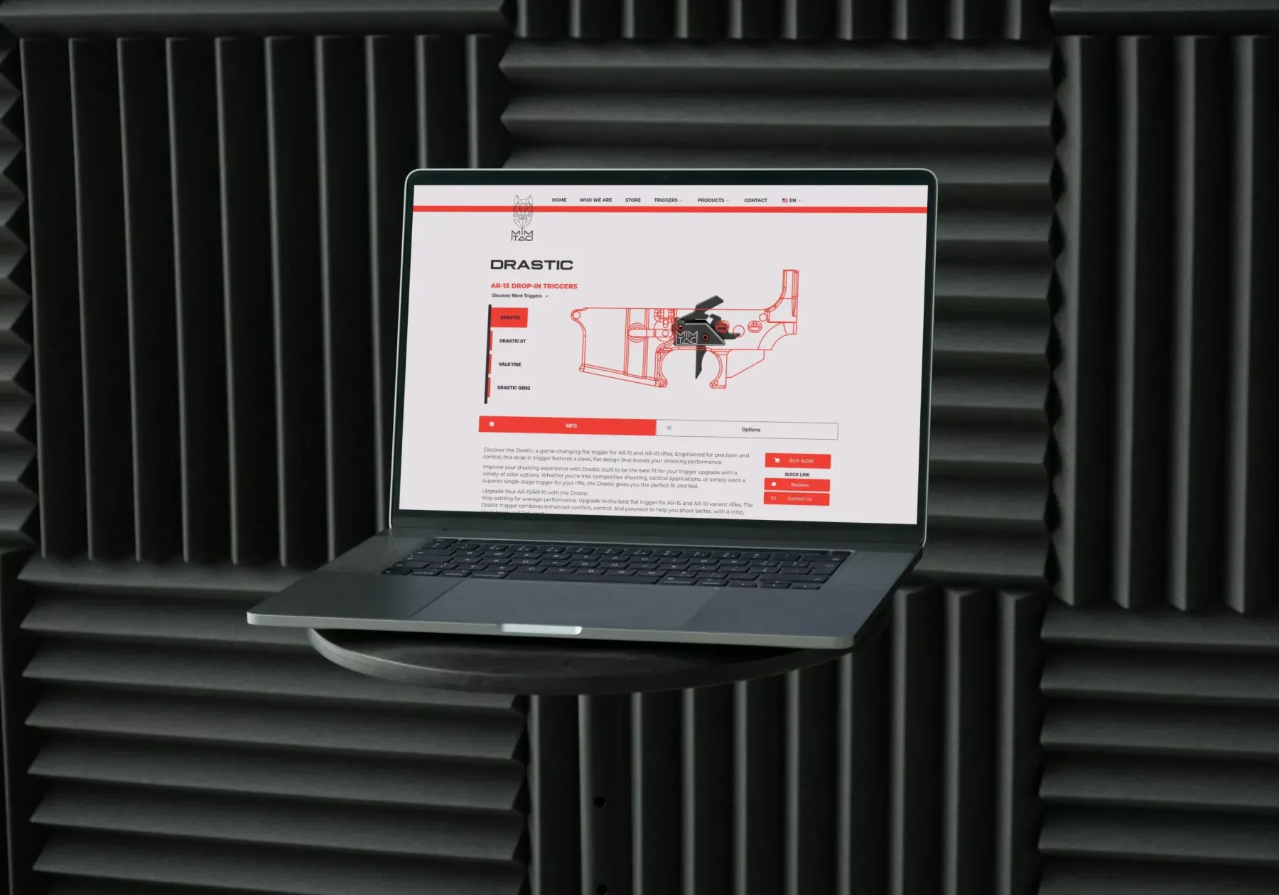 Mimtac website, view 2