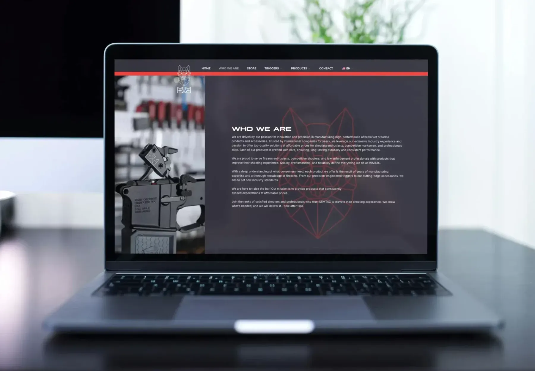 Mimtac website, view 3
